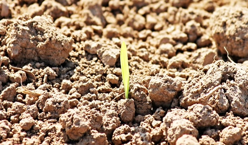 Agriculture water conservation in the Southern United States and Mexico