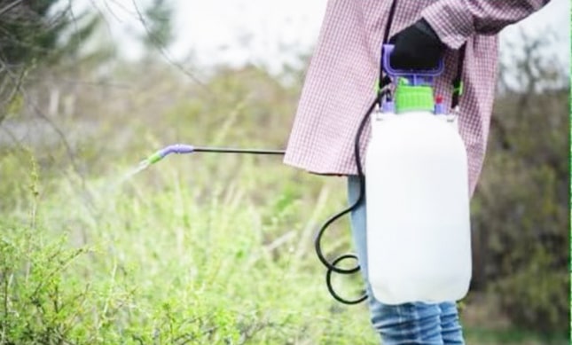 Spraying on the lawn grass of Water Aid Solution