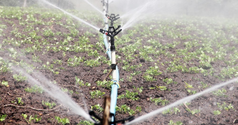 Water conservation is critical for agricultural companies in the Southern United States and Mexico