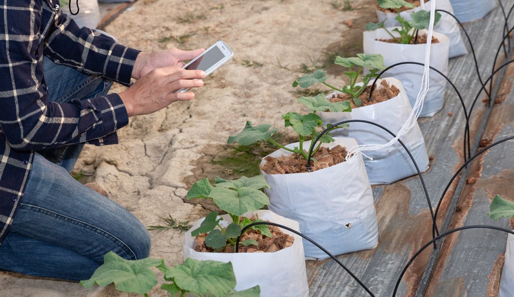 Water-saving techniques for farming during drought conditions